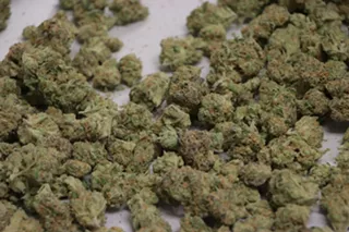 Image: Legalized recreational marijuana could boost state revenue