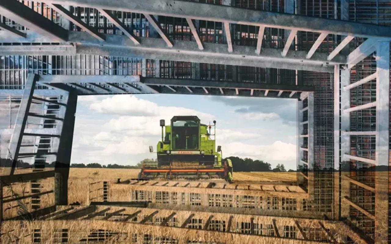 Image: New tariffs may harm ag, steel industries