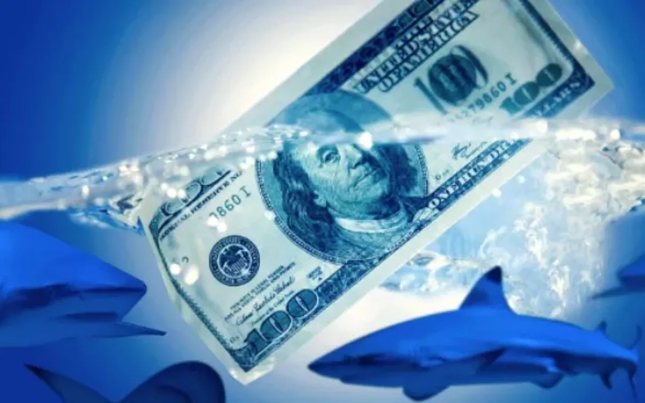 Image: Shark Tank Entrepreneurs Share Their Experience - How to Bring Your Product to Market