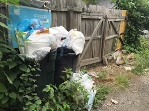 The trouble with trash