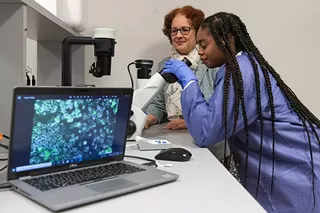 Image: UIS partners with SIU School of Medicine to study how cancer spreads